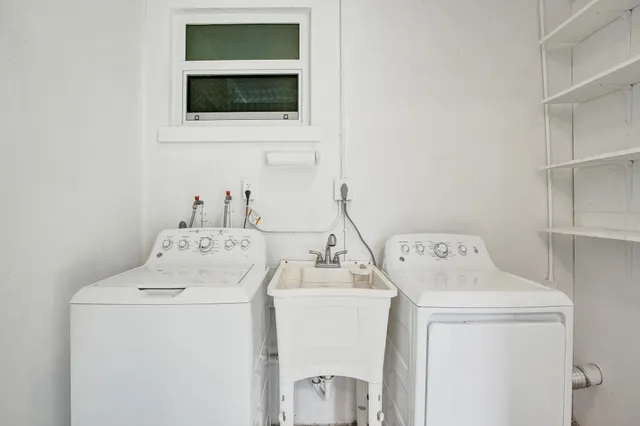 a view of a park with palm trees