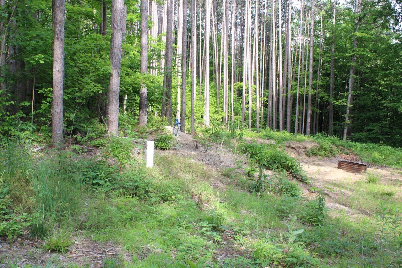 2750 Apple Creek Road Kalkaska, MI 49646 - Photo 14 of 24
