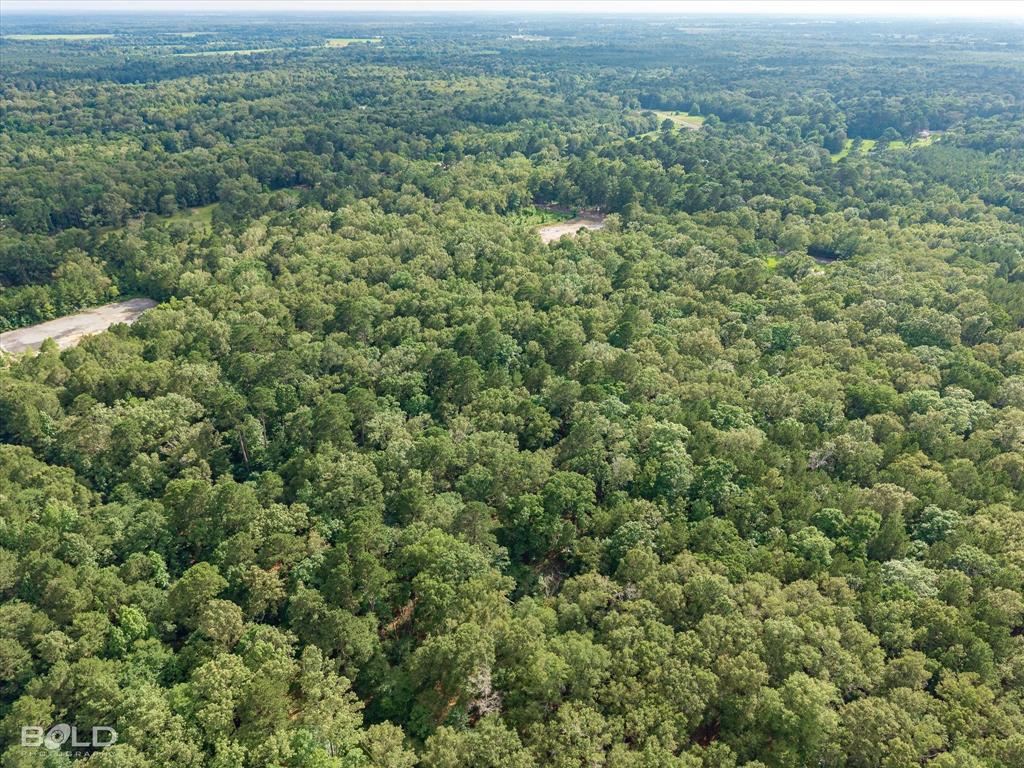 470 Pine Hill Road Elm Grove, LA 71051 - Photo 17 of 21