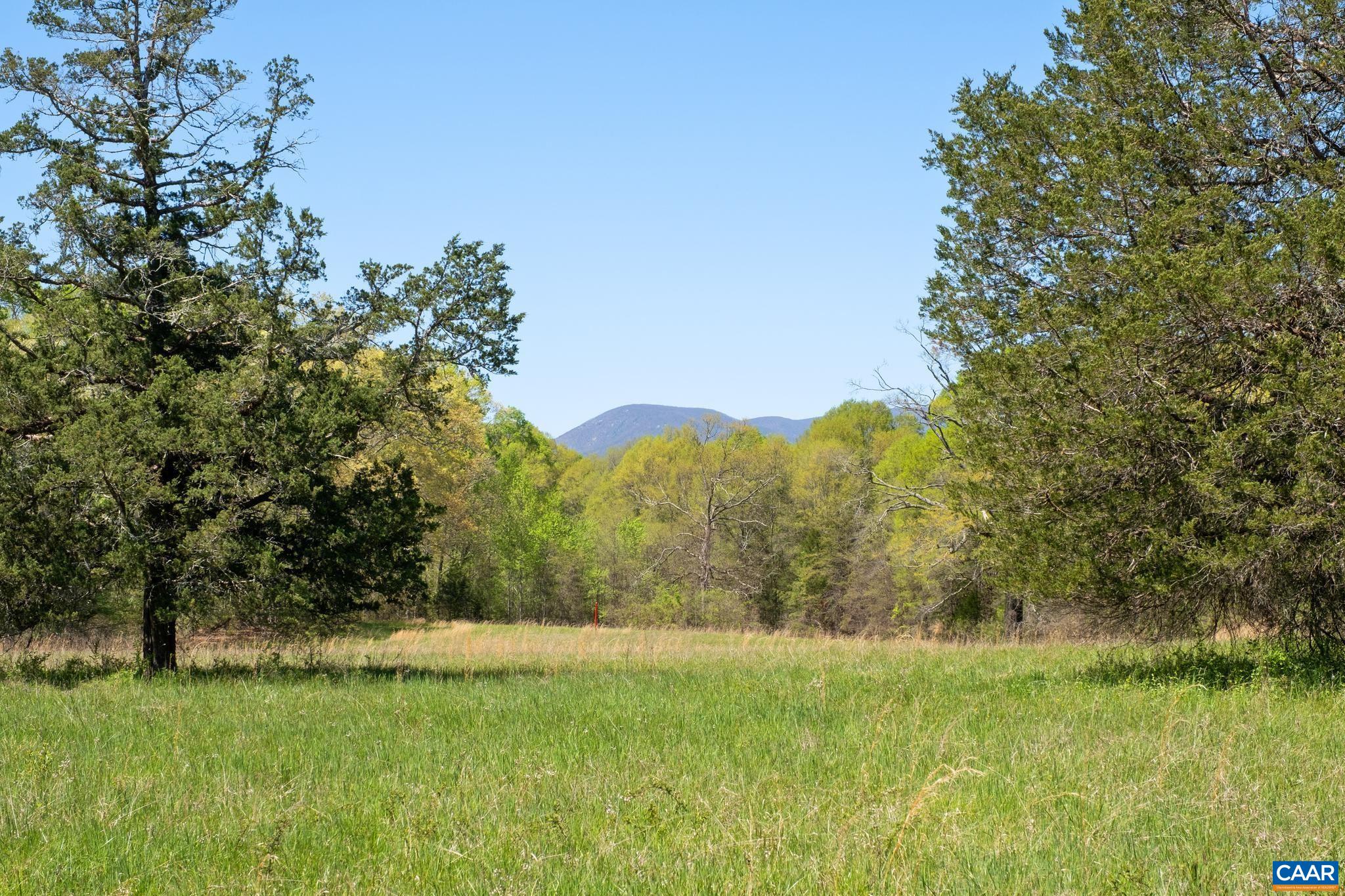 5171 Lowesville Road Arrington, VA 22922 - Photo 8 of 55 a view of a grassy field with trees in the background