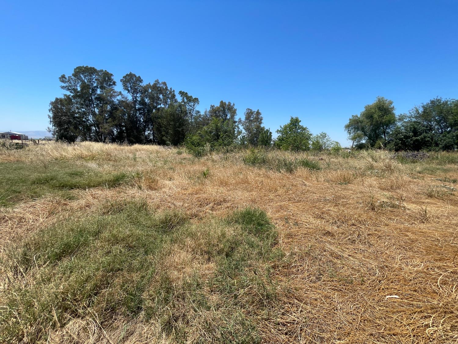 2547 Venice Road Williams, CA 95987 - Photo 11 of 18