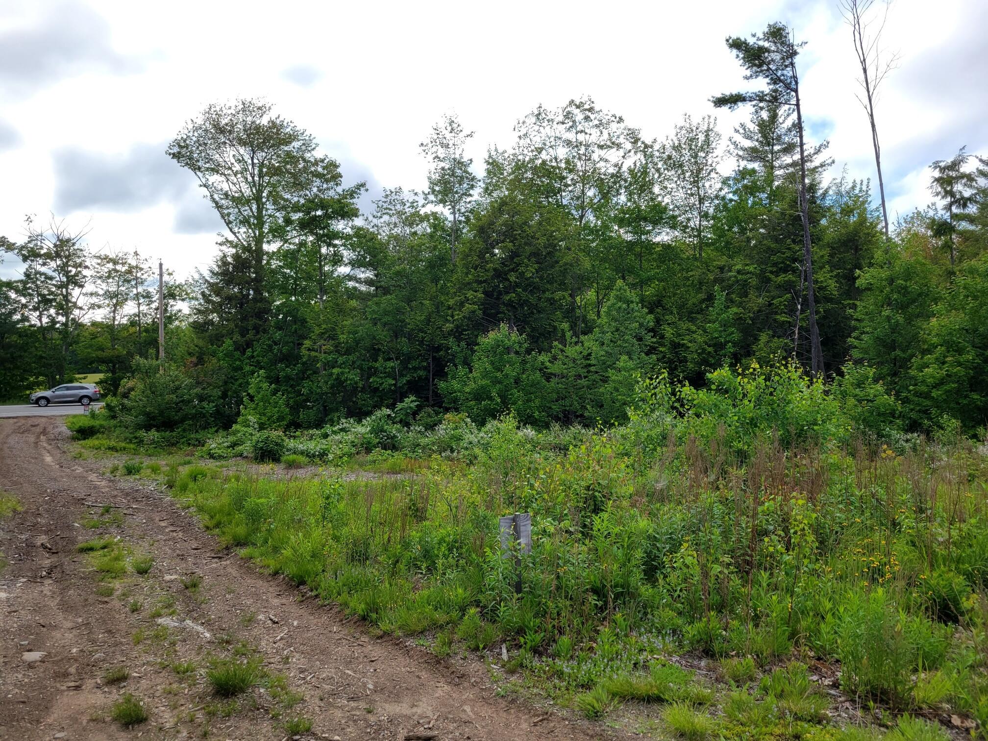 Lot 4-95 Ridge Road, Unit LOT 4 Lisbon, ME 04252 - Photo 10 of 20 Lot 5 Ridge Rd