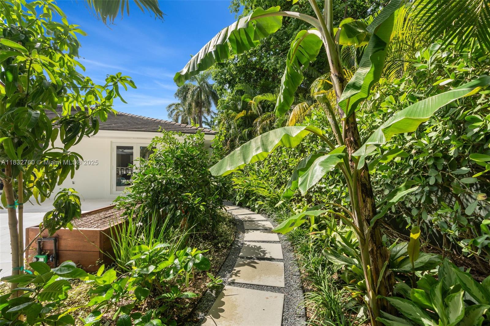 4800 Bay Point Road Miami, FL 33137 - Photo 51 of 74 a plant that is in a garden