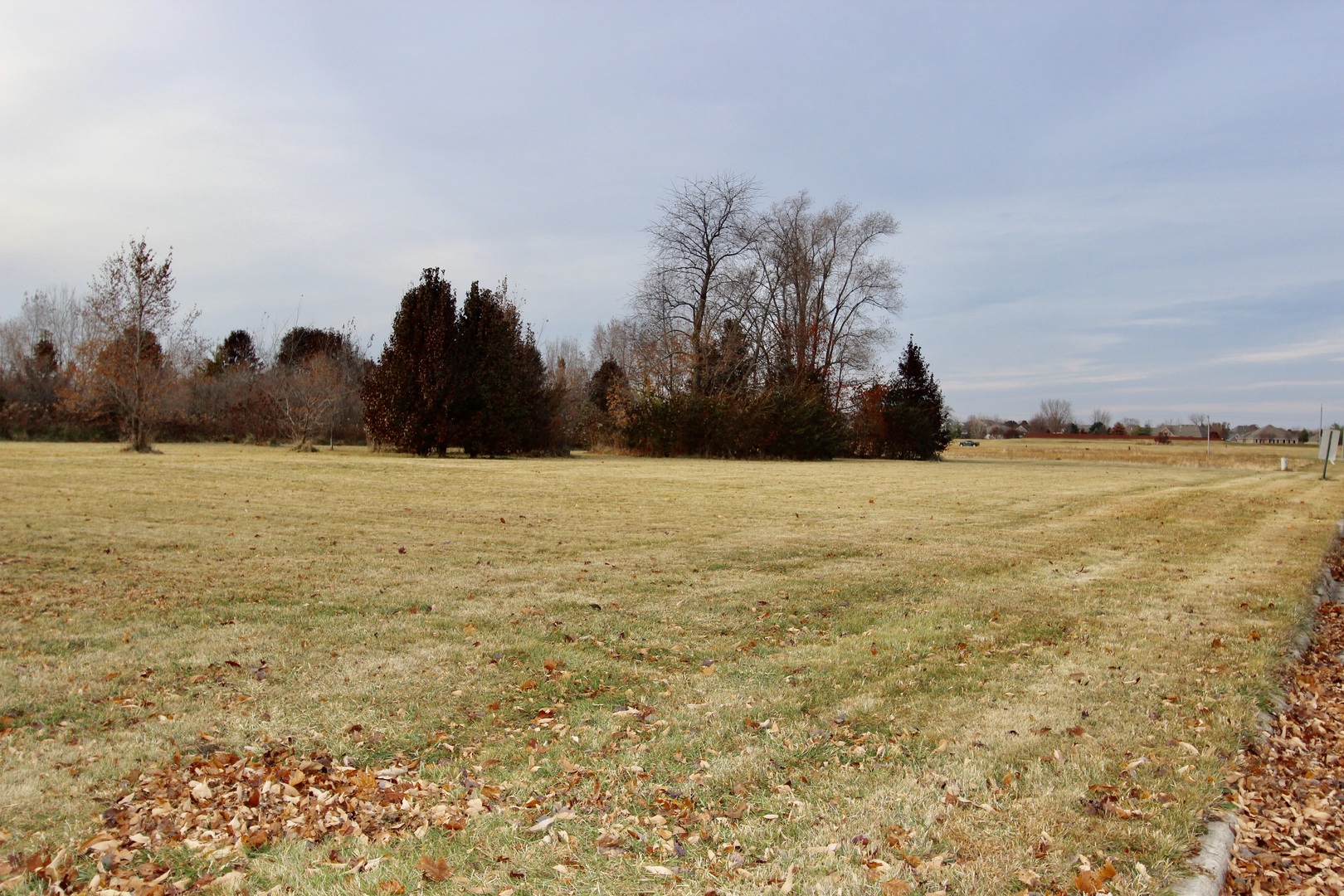 1180 Lakewood Drive Morris, IL 60450 - Photo 4 of 8