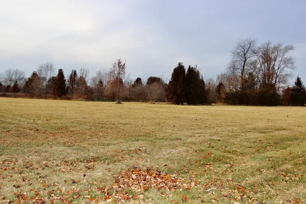 $759,000 | 1180 Lakewood Drive, Morris, IL 60450