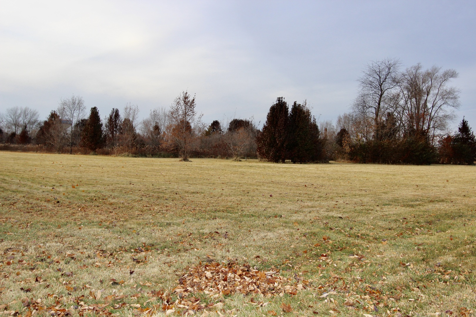 1180 Lakewood Drive Morris, IL 60450 - Photo 5 of 8