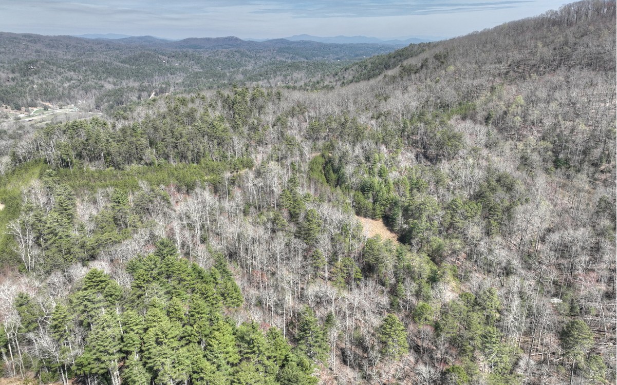 1200 Cherry Log Street Cherry Log, GA 30522 - Photo 11 of 35 Additional View