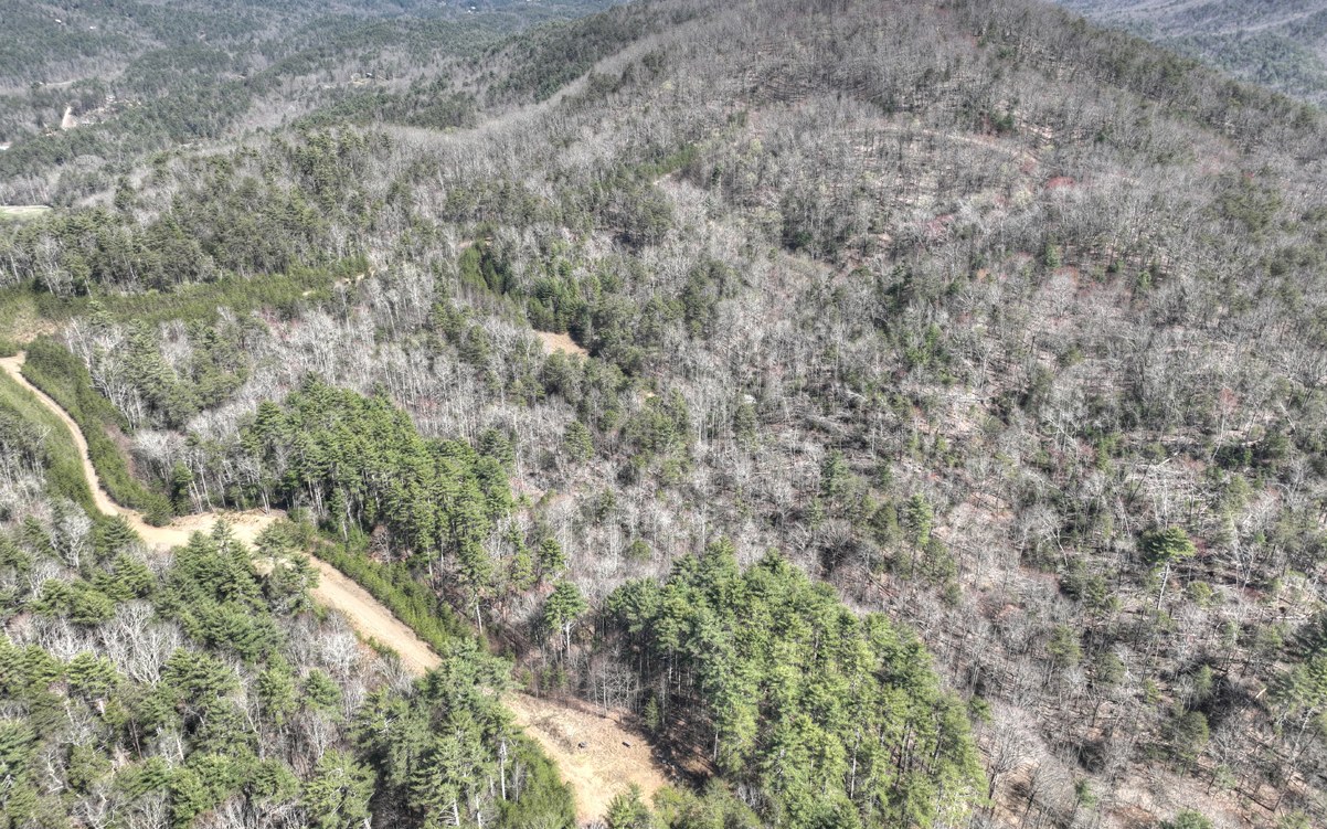 1200 Cherry Log Street Cherry Log, GA 30522 - Photo 12 of 35 Additional View