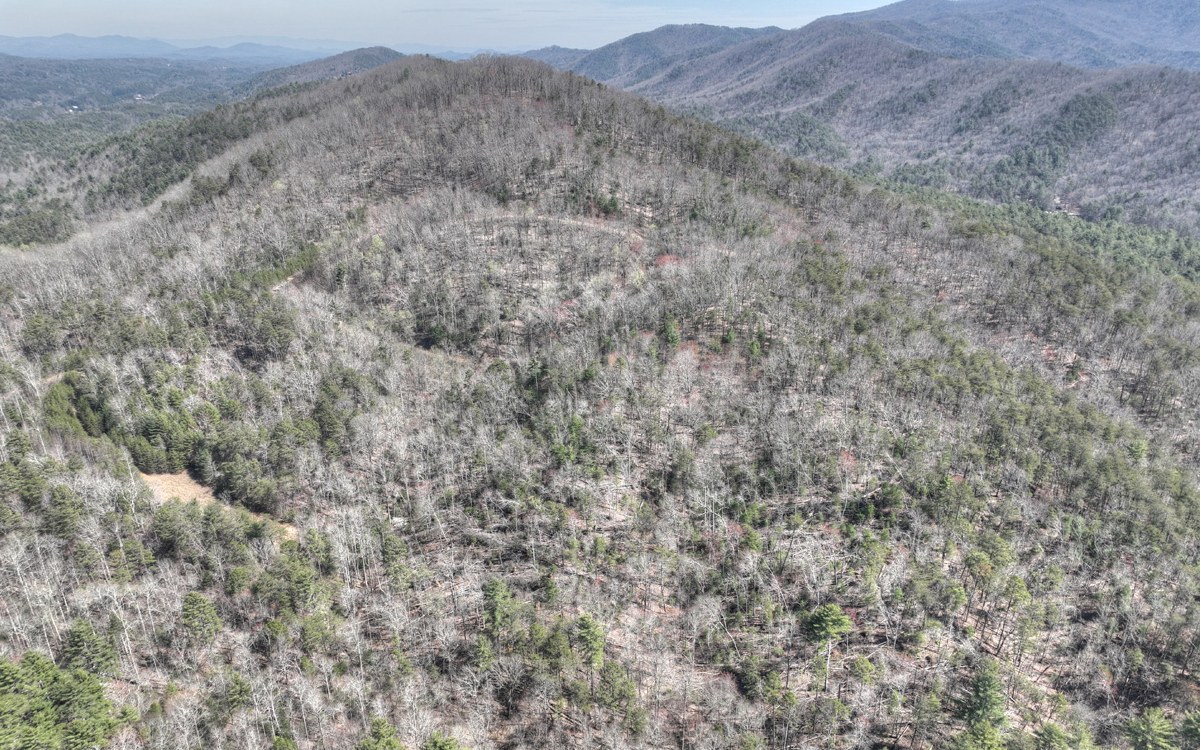 1200 Cherry Log Street Cherry Log, GA 30522 - Photo 13 of 35 Additional View