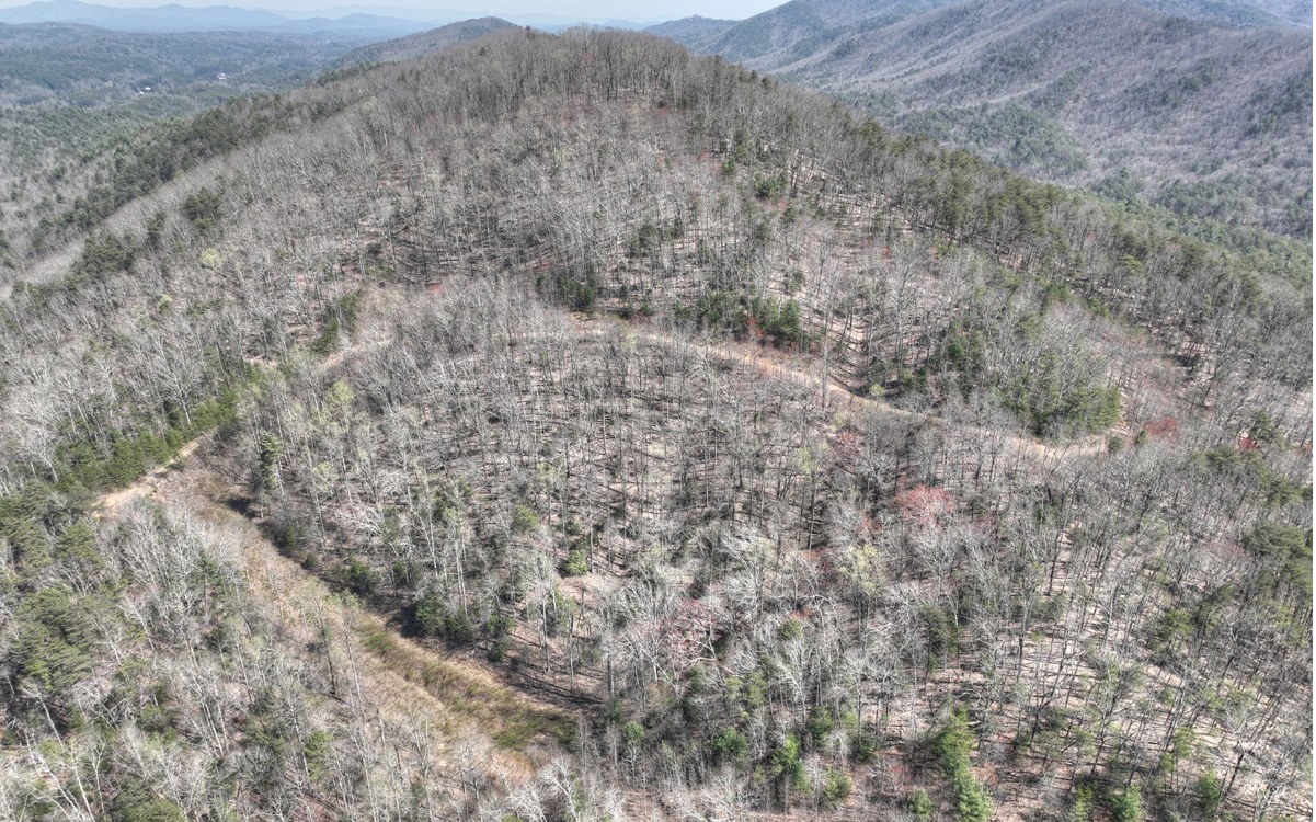 1200 Cherry Log Street Cherry Log, GA 30522 - Photo 14 of 35 Additional View