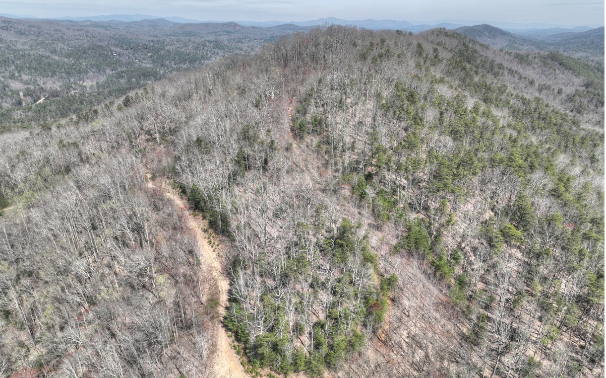 1200 Cherry Log Street Cherry Log, GA 30522 - Photo 15 of 35 Additional View