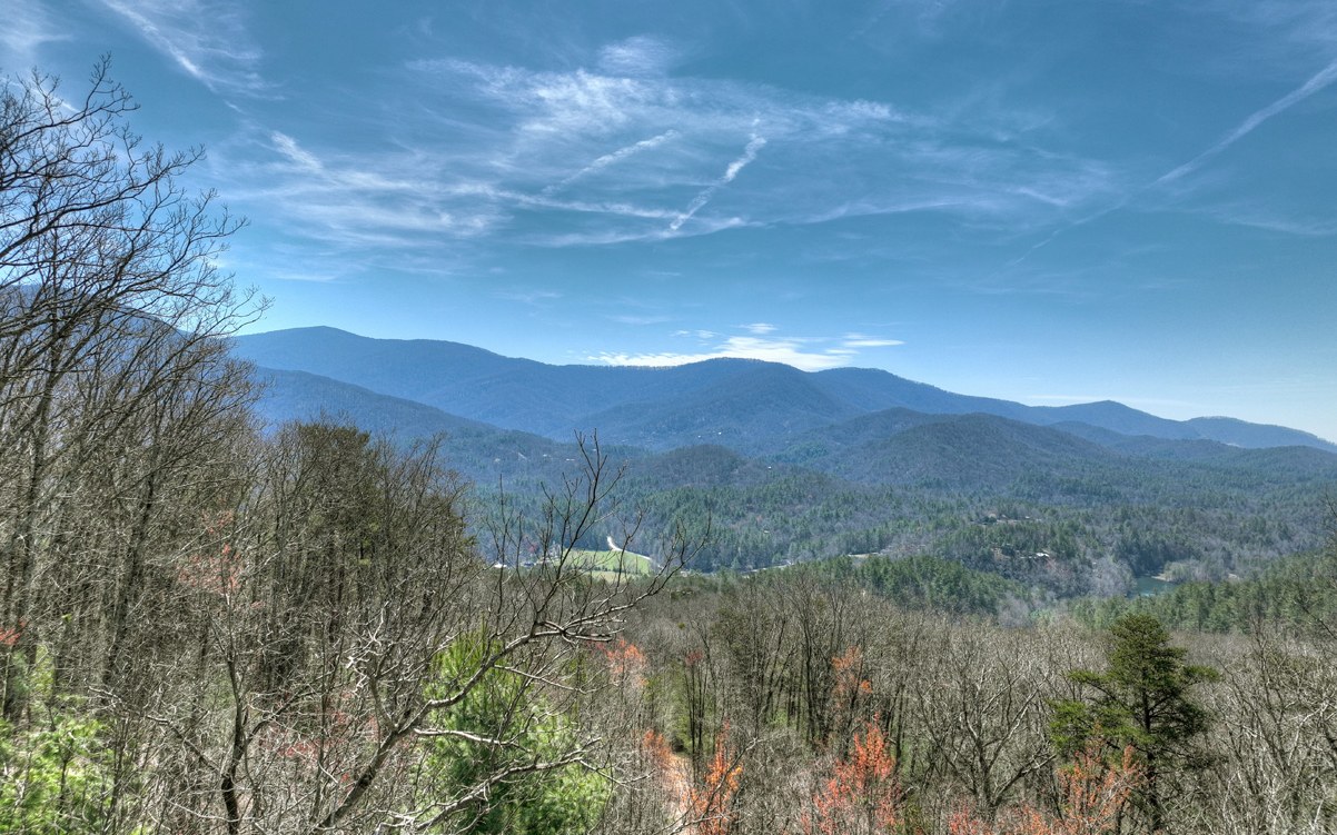 1200 Cherry Log Street Cherry Log, GA 30522 - Photo 17 of 35 Additional View