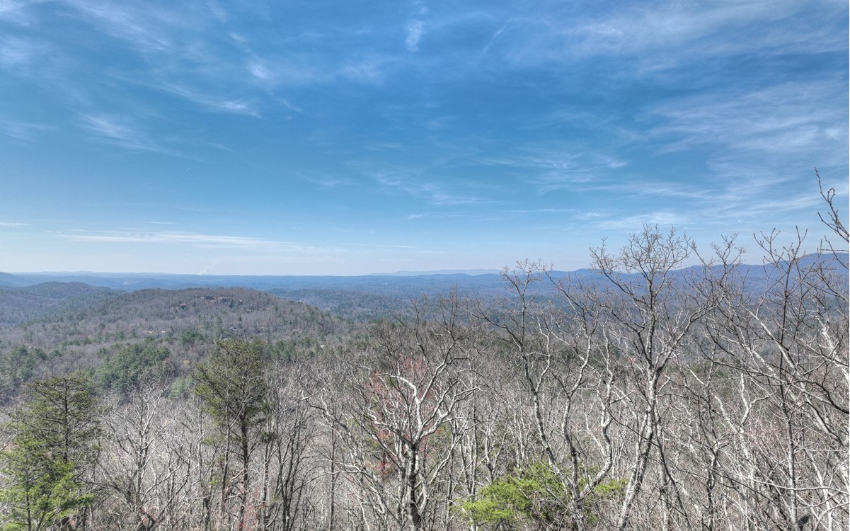 1200 Cherry Log Street Cherry Log, GA 30522 - Photo 18 of 35 Additional View