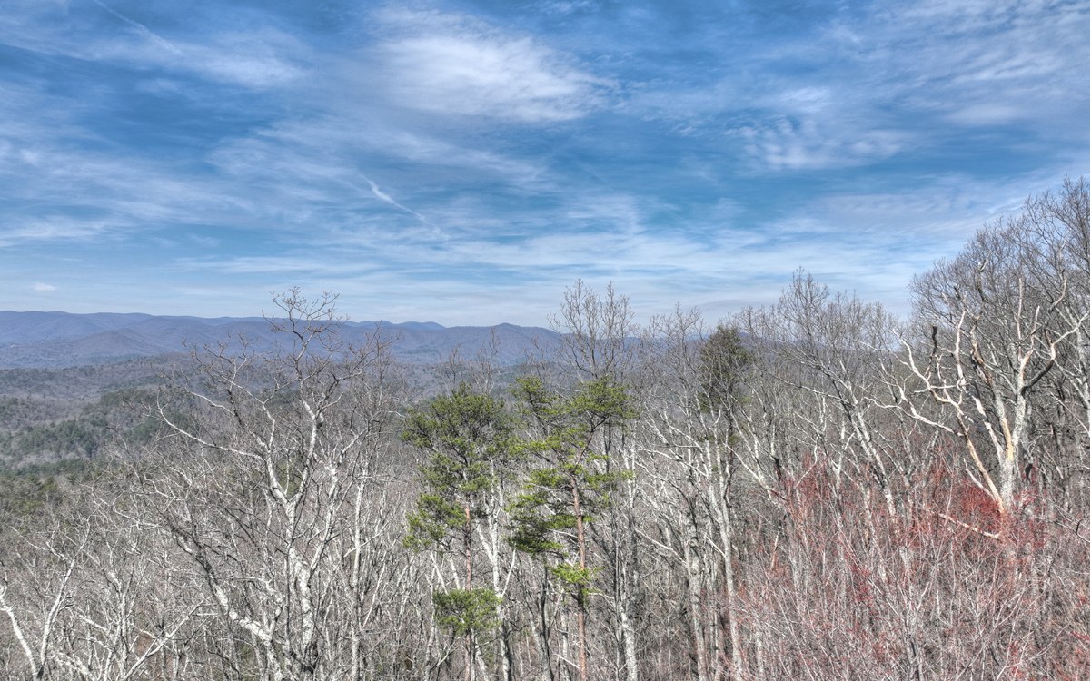 1200 Cherry Log Street Cherry Log, GA 30522 - Photo 19 of 35 Additional View