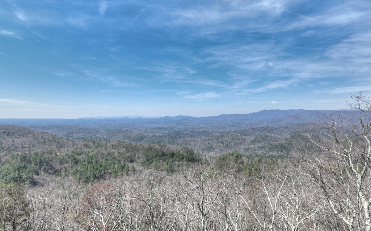 1200 Cherry Log Street Cherry Log, GA 30522 - Photo 20 of 35 Additional View
