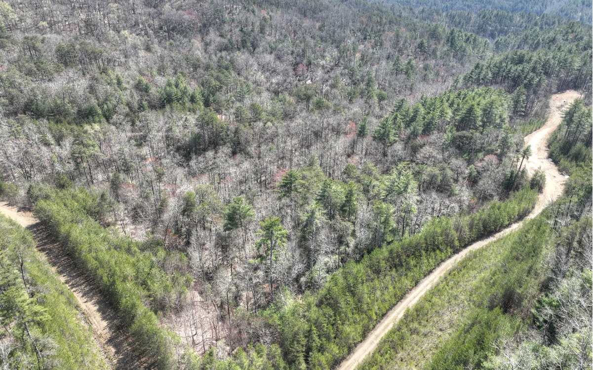 1200 Cherry Log Street Cherry Log, GA 30522 - Photo 2 of 35 Additional View