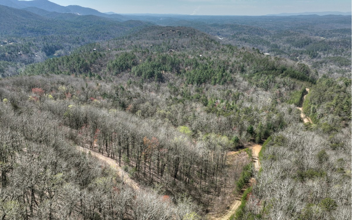 1200 Cherry Log Street Cherry Log, GA 30522 - Photo 21 of 35 Additional View