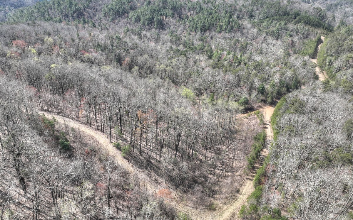 1200 Cherry Log Street Cherry Log, GA 30522 - Photo 22 of 35 Additional View