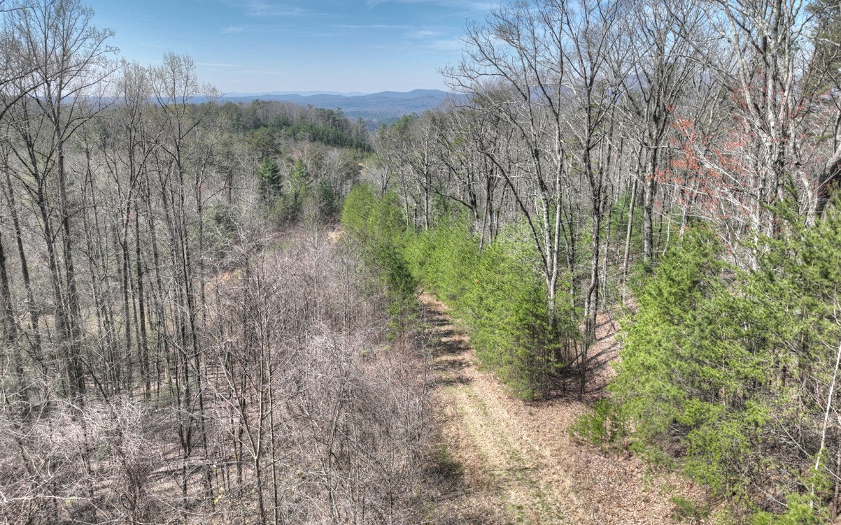 1200 Cherry Log Street Cherry Log, GA 30522 - Photo 23 of 35 Additional View