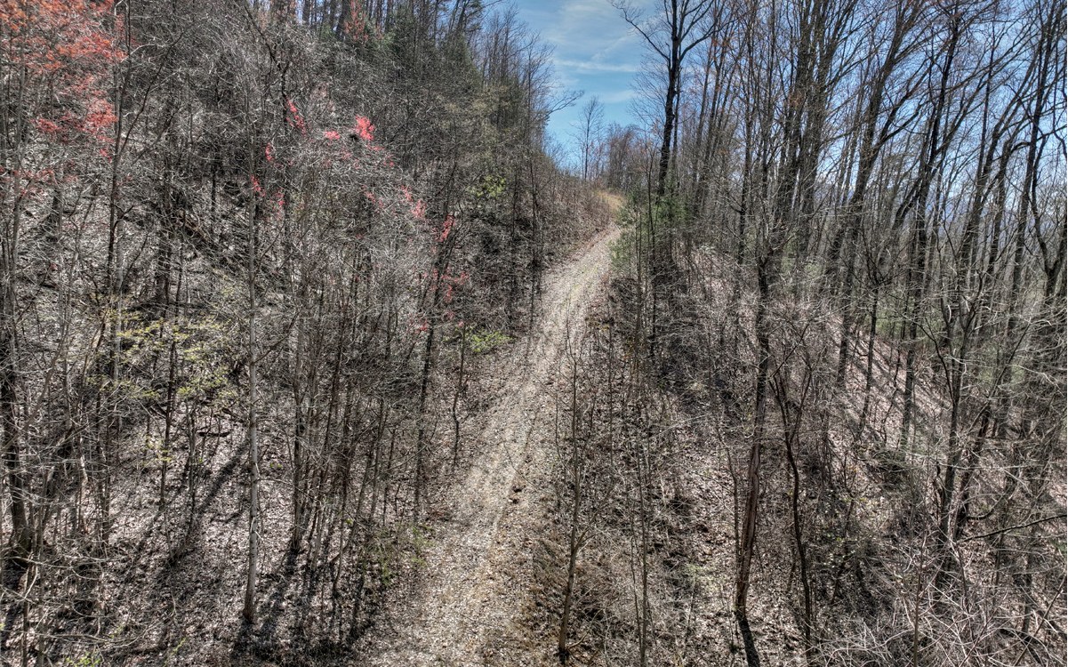 1200 Cherry Log Street Cherry Log, GA 30522 - Photo 24 of 35 Additional View