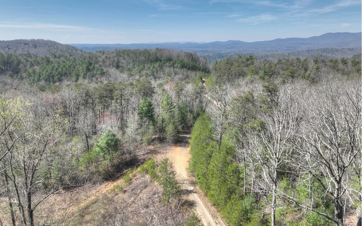 1200 Cherry Log Street Cherry Log, GA 30522 - Photo 25 of 35 Additional View