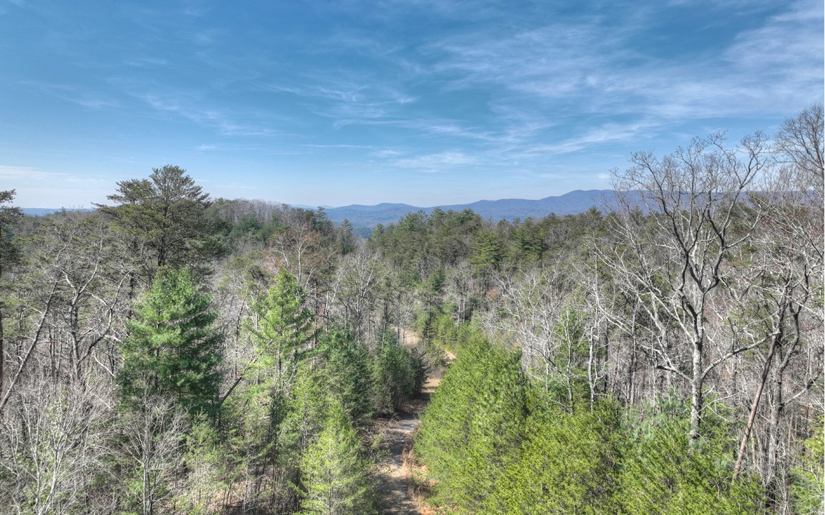 1200 Cherry Log Street Cherry Log, GA 30522 - Photo 26 of 35 Additional View