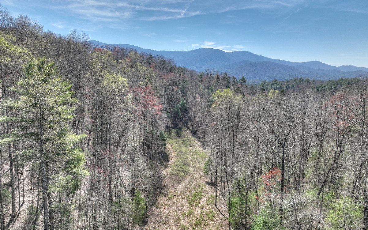 1200 Cherry Log Street Cherry Log, GA 30522 - Photo 27 of 35 Additional View