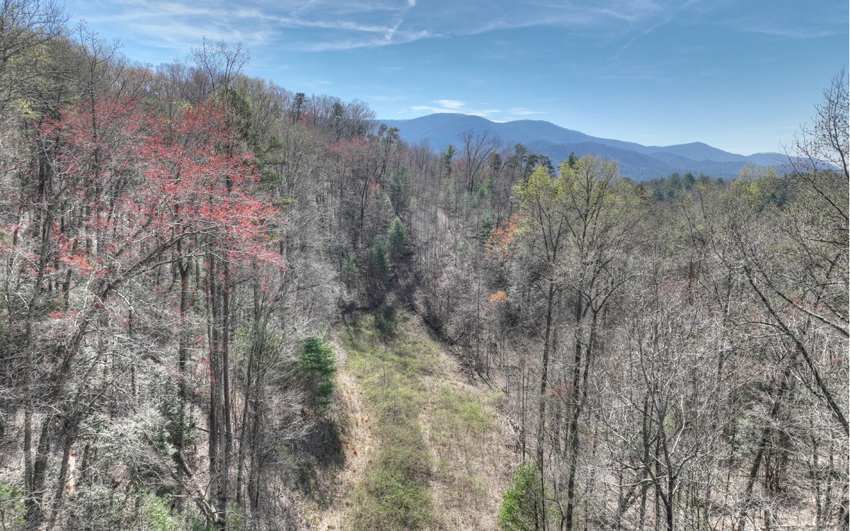 1200 Cherry Log Street Cherry Log, GA 30522 - Photo 28 of 35 Additional View