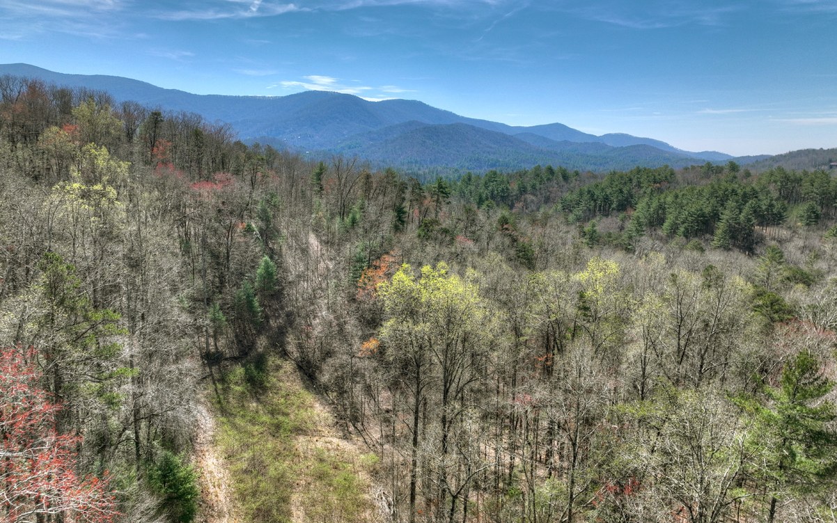 1200 Cherry Log Street Cherry Log, GA 30522 - Photo 29 of 35 Additional View
