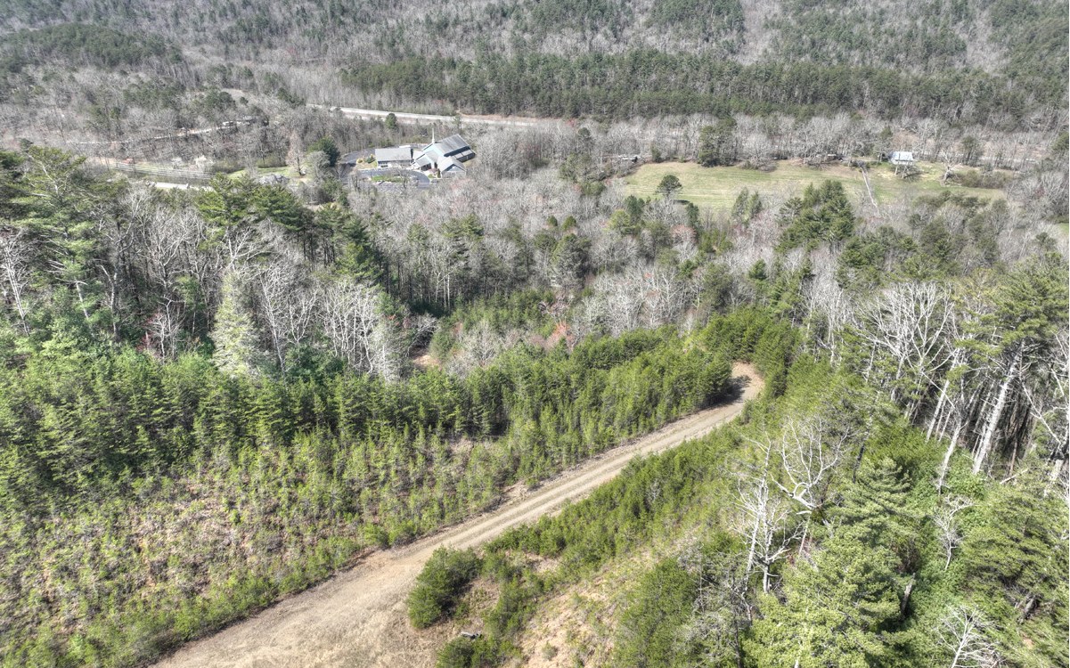 1200 Cherry Log Street Cherry Log, GA 30522 - Photo 30 of 35 Additional View