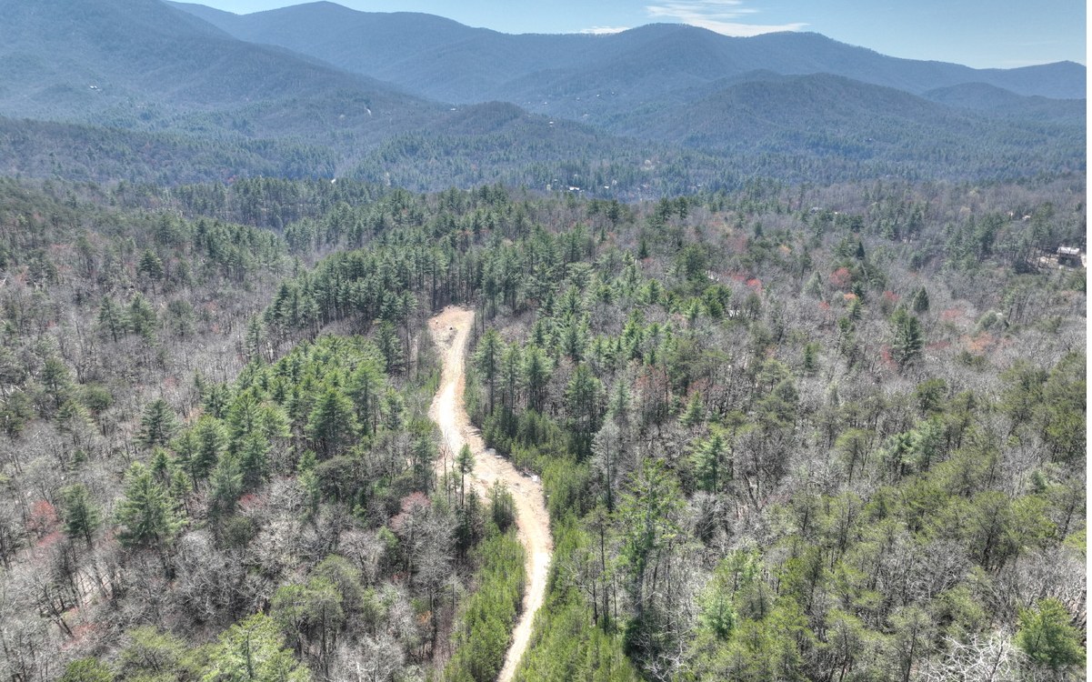 1200 Cherry Log Street Cherry Log, GA 30522 - Photo 3 of 35 Additional View