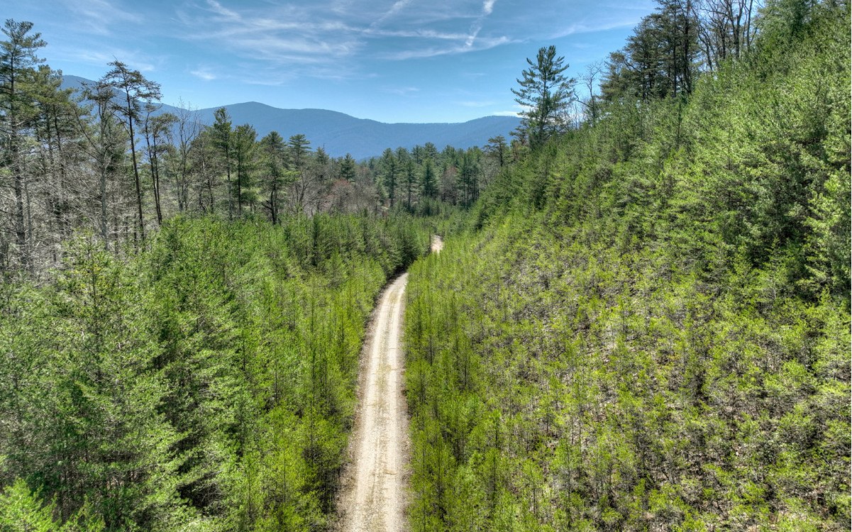 1200 Cherry Log Street Cherry Log, GA 30522 - Photo 31 of 35 Additional View