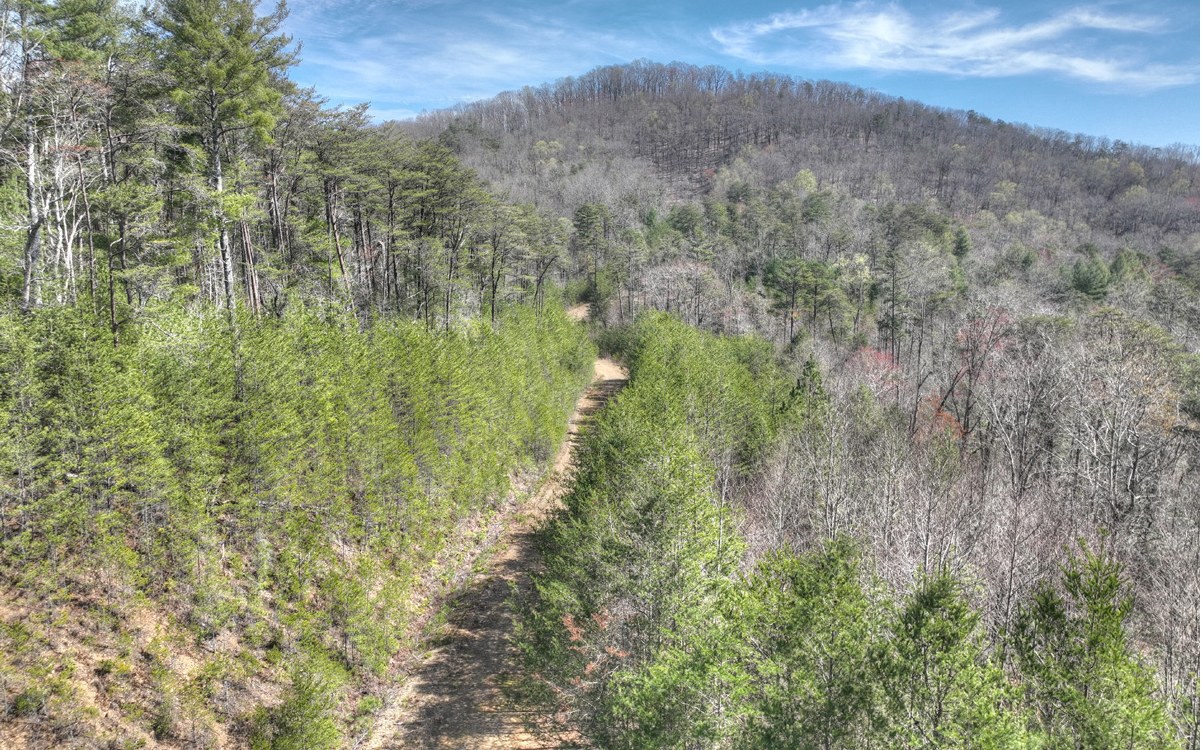 1200 Cherry Log Street Cherry Log, GA 30522 - Photo 32 of 35 Additional View