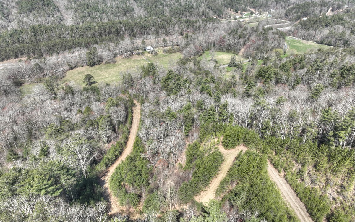 1200 Cherry Log Street Cherry Log, GA 30522 - Photo 34 of 35 Additional View