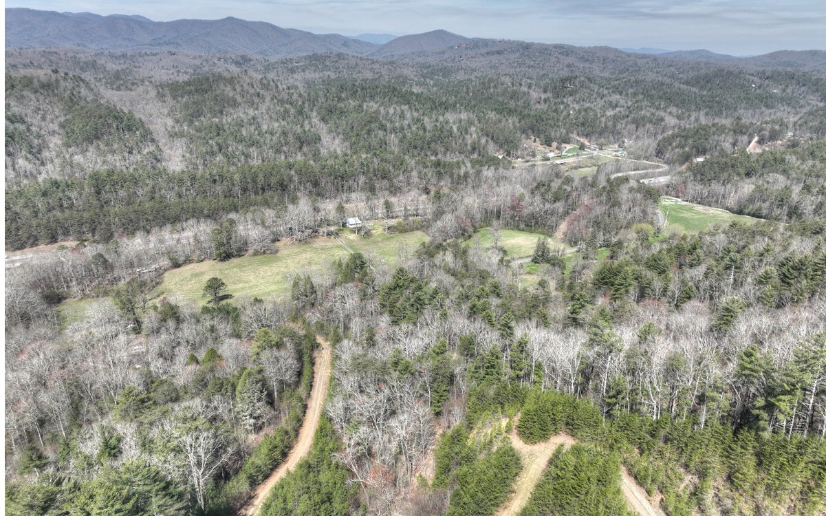 1200 Cherry Log Street Cherry Log, GA 30522 - Photo 35 of 35 Additional View
