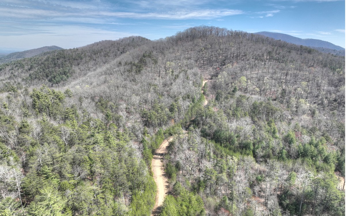 1200 Cherry Log Street Cherry Log, GA 30522 - Photo 4 of 35 Additional View