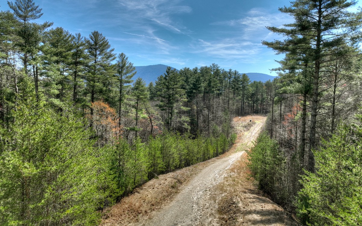 1200 Cherry Log Street Cherry Log, GA 30522 - Photo 5 of 35 Additional View