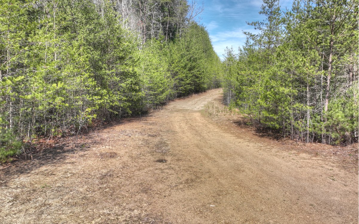 1200 Cherry Log Street Cherry Log, GA 30522 - Photo 6 of 35 Additional View