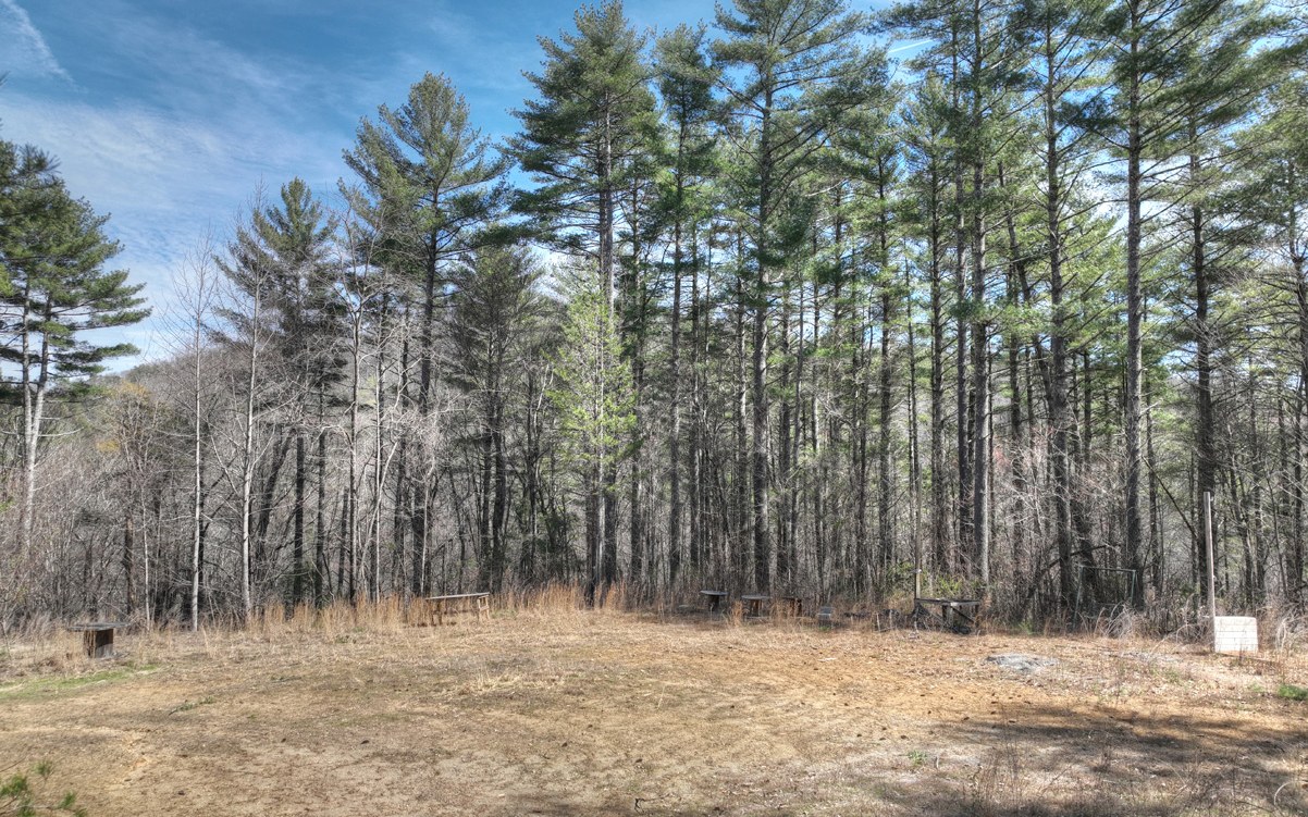 1200 Cherry Log Street Cherry Log, GA 30522 - Photo 7 of 35 Additional View