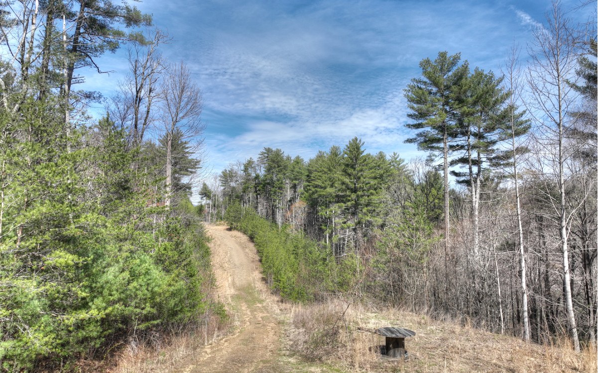 1200 Cherry Log Street Cherry Log, GA 30522 - Photo 8 of 35 Additional View