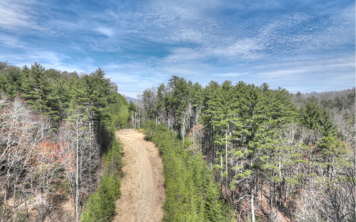 1200 Cherry Log Street Cherry Log, GA 30522 - Photo 9 of 35 Additional View