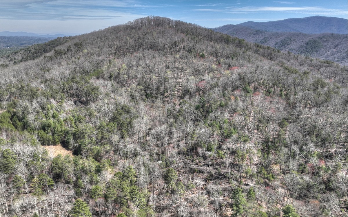 1200 Cherry Log Street Cherry Log, GA 30522 - Photo 10 of 35 Additional View