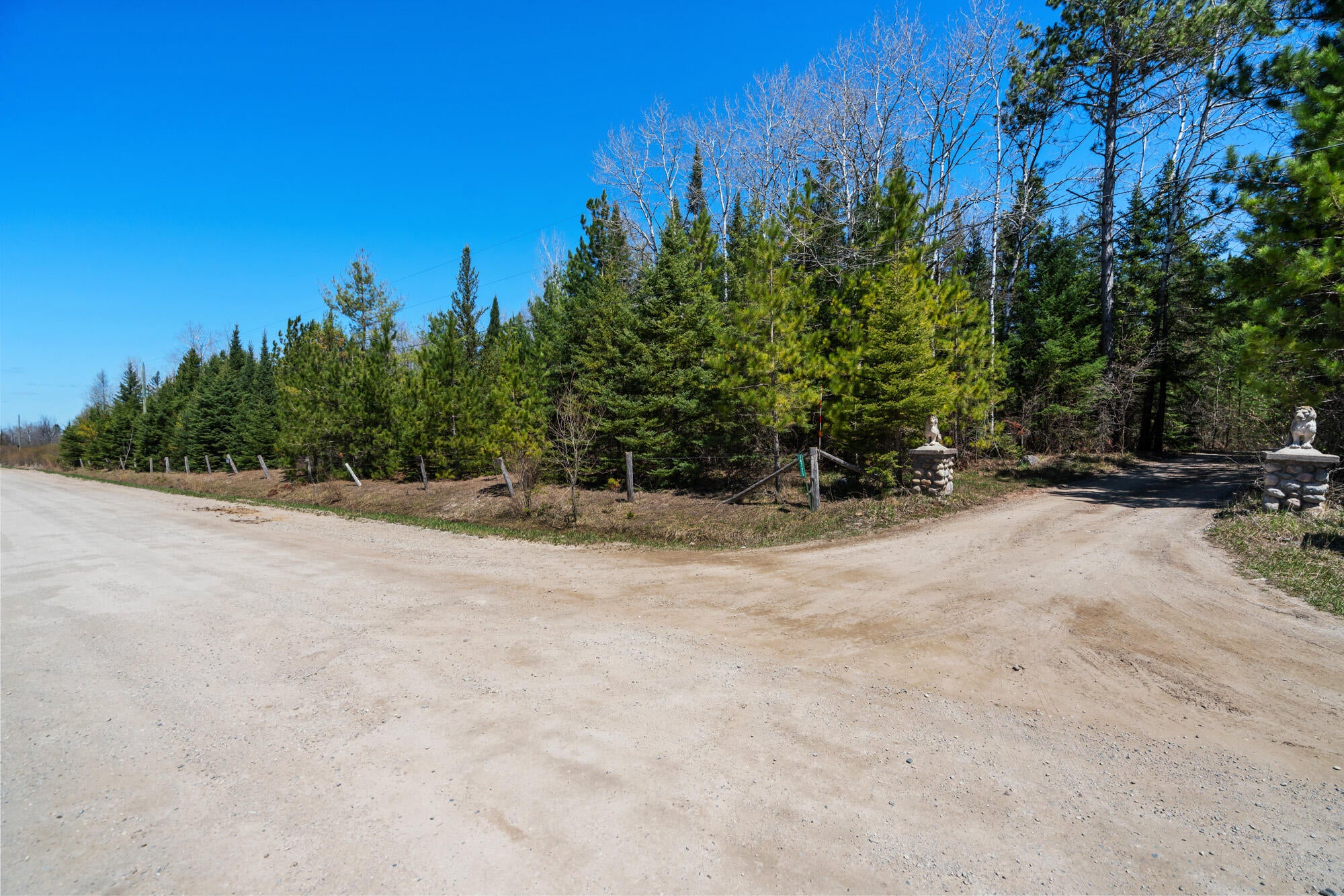14721 Trowbridge Road Wolverine, MI 49799 - Photo 50 of 66 A7R07577