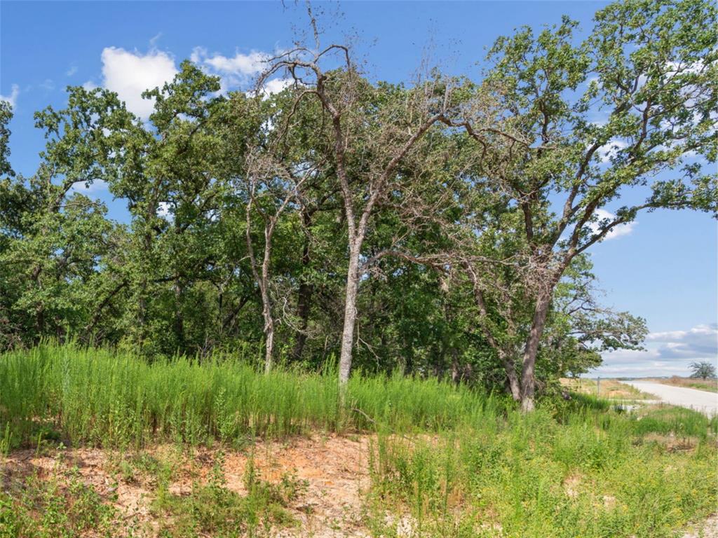 Lot 54 Kilkenny Road Poolville, TX 76487 - Photo 3 of 14