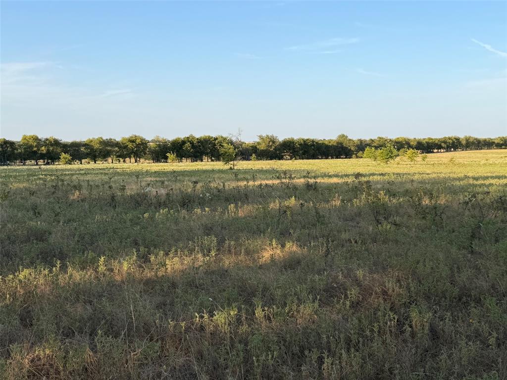 Tbd North Hickory Road Krum, TX 76249 - Photo 6 of 18 Gallery Image 6