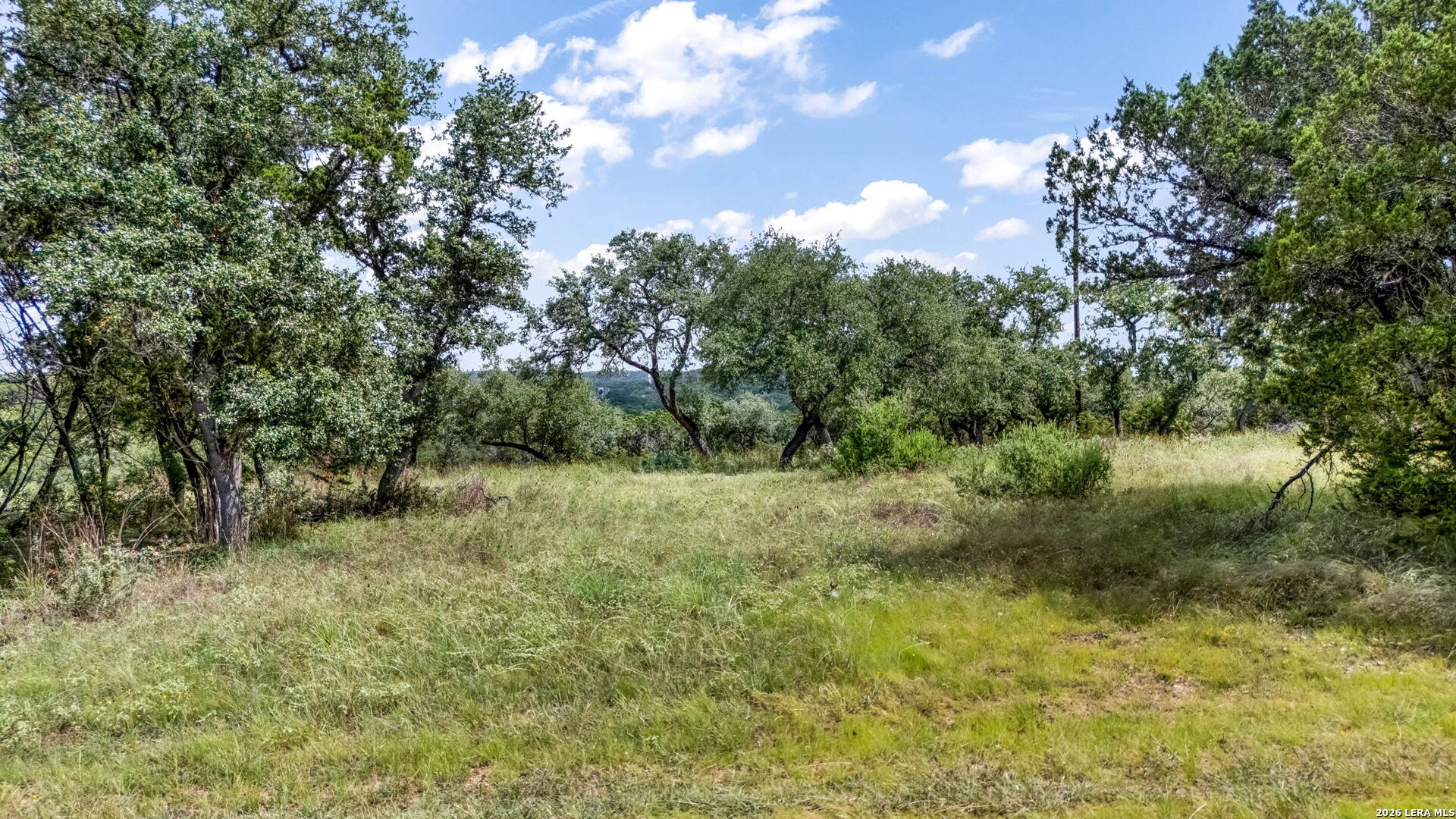 Lot 1 Beck Road Bulverde, TX 78163 - Photo 1 of 9
