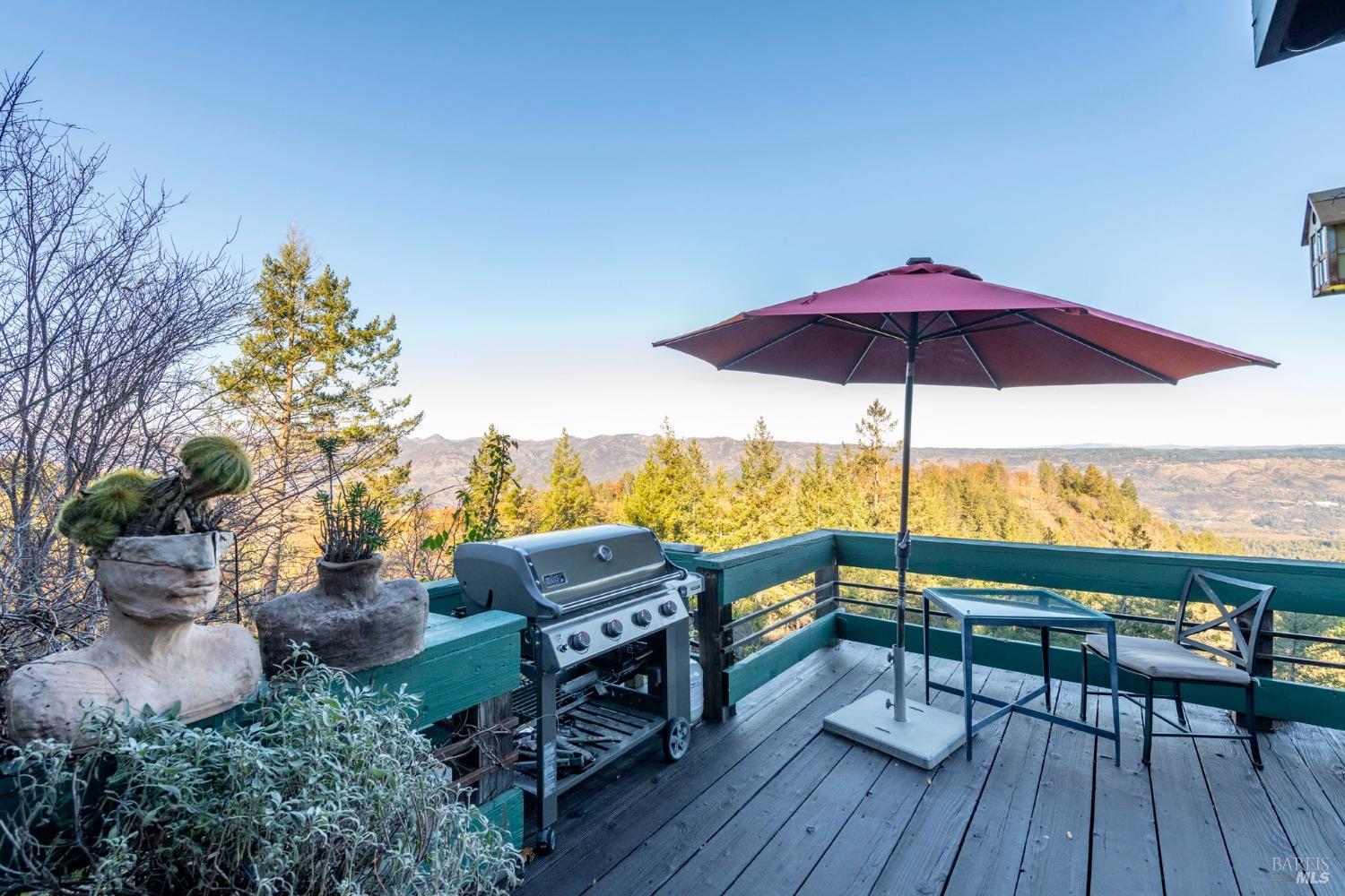 4040 Spring Mountain Road St. Helena, CA 94574 - Photo 40 of 47