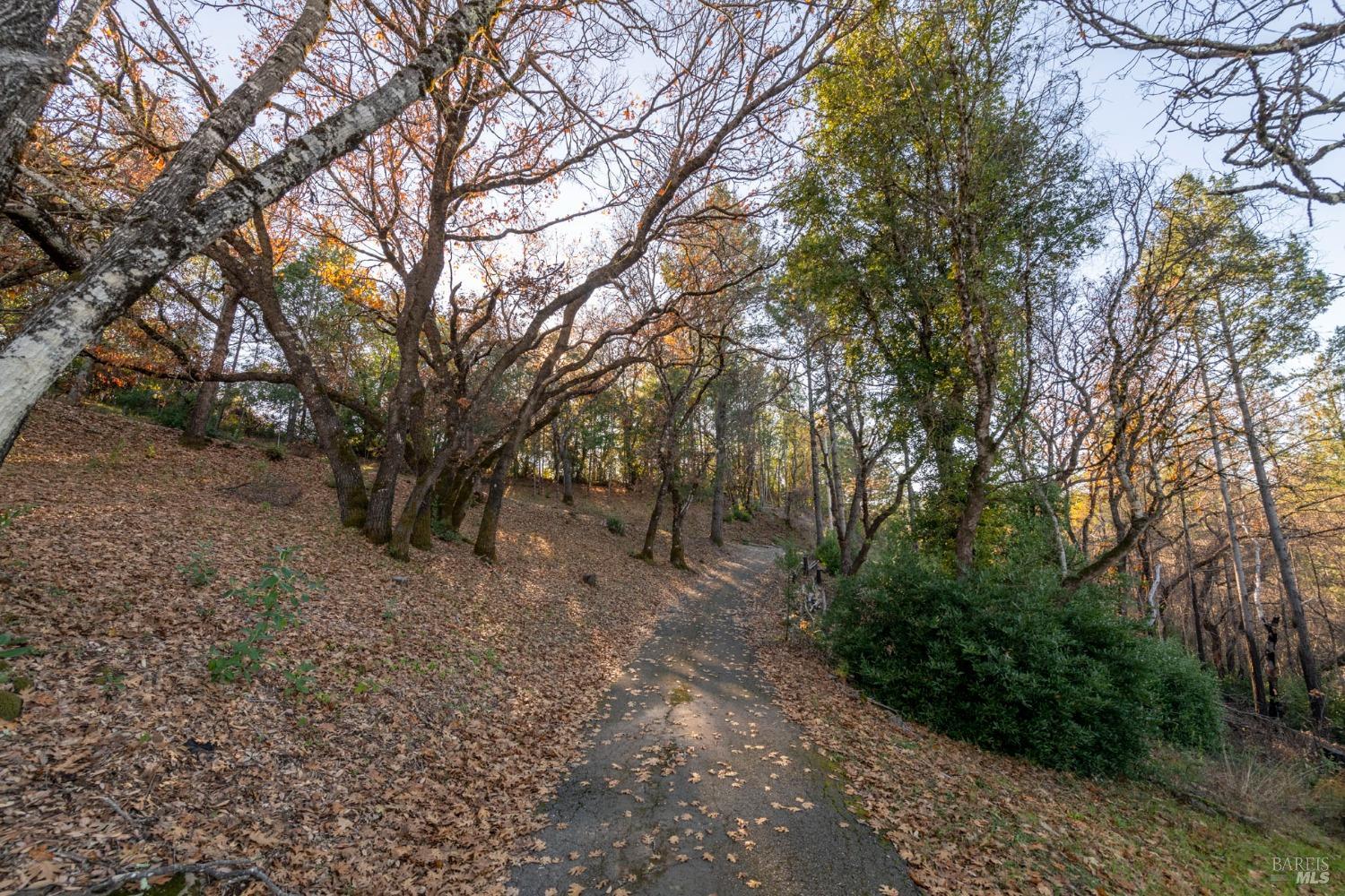 4040 Spring Mountain Road St. Helena, CA 94574 - Photo 46 of 47