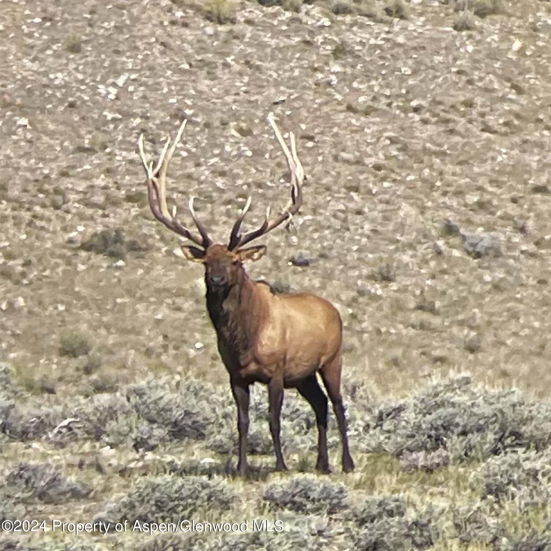 0 K Ranch Road Dinosaur, CO 81610 - Photo 50 of 92 051-k-ranch