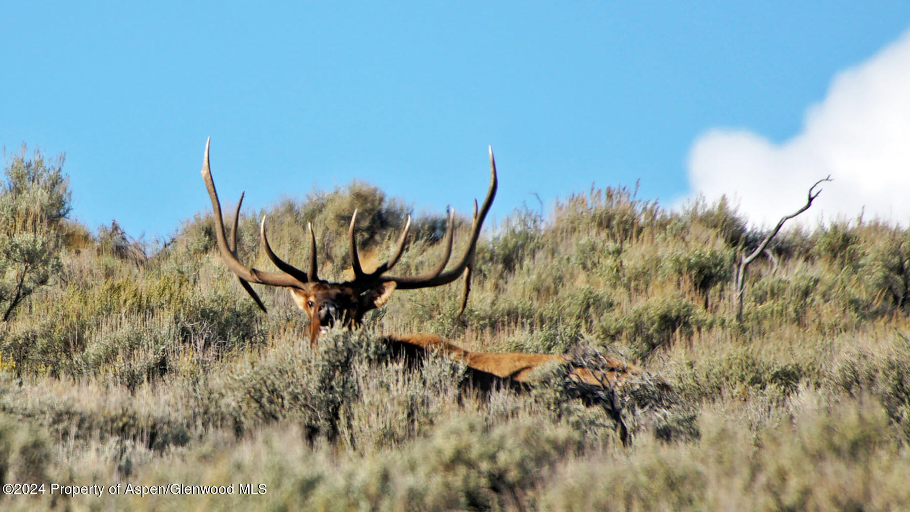 0 K Ranch Road Dinosaur, CO 81610 - Photo 5 of 92 005-k-ranch